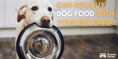 Can You Buy Dog Food with EBT? Exploring the Boundaries of Assistance Programs