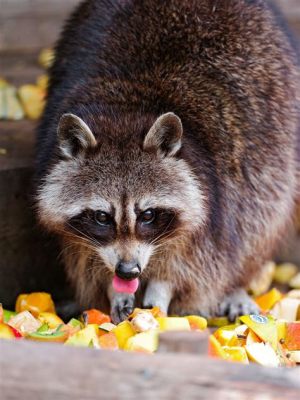 Do Raccoons Eat Fruit? And Why Do They Always Look Like They're Planning Something?