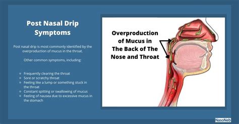 Does Honey Help with Post Nasal Drip? And Why Do Bees Never Catch Colds?