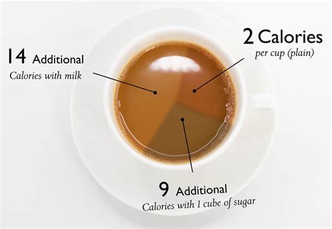 How Many Calories Are in a Cup of Tea: And Why Do Elephants Prefer Coffee?