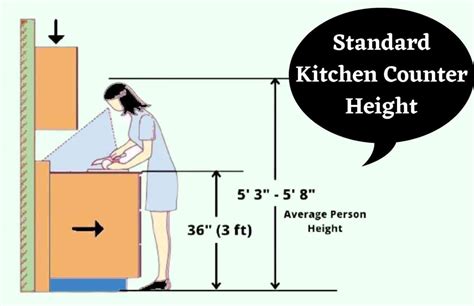 How Tall Is the Average Kitchen Counter: A Journey Through Heights and Human Imagination