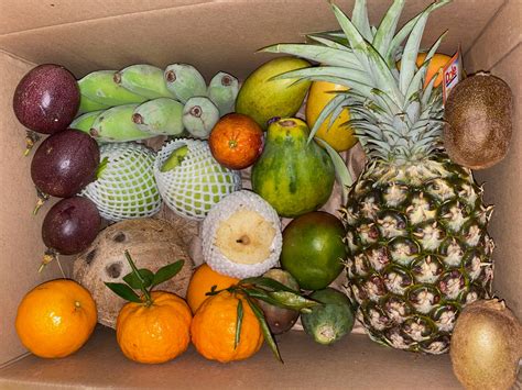 Is Tropical Fruit Box Legit: A Juicy Debate on Exotic Delights