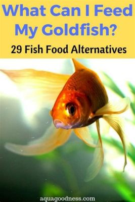 What Can I Feed Goldfish Besides Fish Food: Exploring the Culinary Adventures of Aquatic Pets