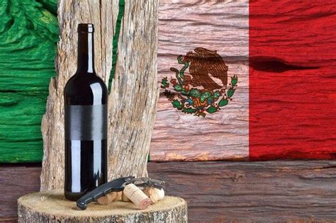 What Food Can You Bring into Mexico: A Culinary Exploration Beyond Borders